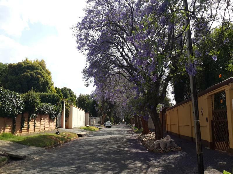 Monica's Cottage Johannesburg Esterno foto